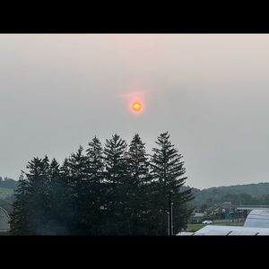 Meet your Posher, Bella